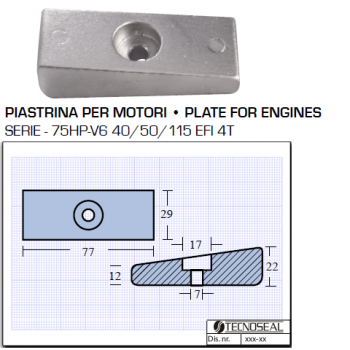 Platte für 75 PS V6 40 40 115 EFI 4T-Motoren