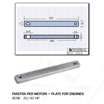 Platte für Motoren 30 40 PS