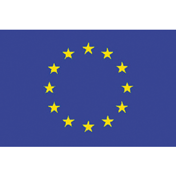 EUROPA FLAGGE 20X30 CM