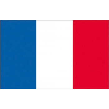 FRANKREICH FLAGGE 20X30 CM