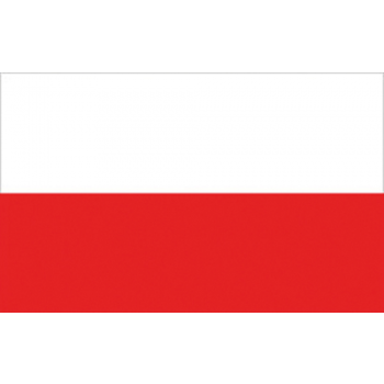 POLEN FLAGGE 20X30 CM
