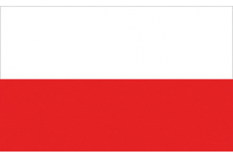 POLEN FLAGGE 20X30 CM