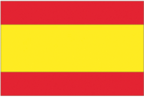 SPANIEN FLAGGE 20X30 CM
