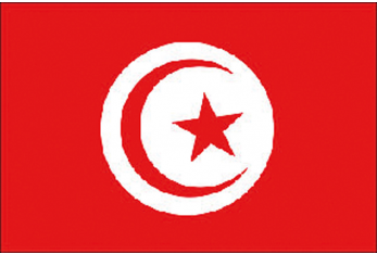 TUNESIEN FLAGGE 20X30 CM