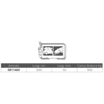 RATSCHENRIEMEN CM.600X5,0