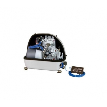 Einsiedlerkrebsgenerator 4 SY