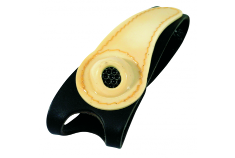 BLICK AUF LEDERPALME