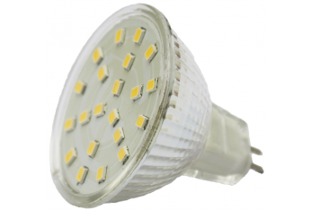 GLÜHBIRNE 21 LED GZ4 11-30V