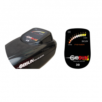 Heckinstallation von Gibsun Electric Motors