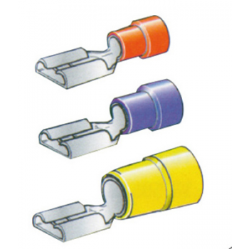 WEIBLICHES REED-TERMINAL