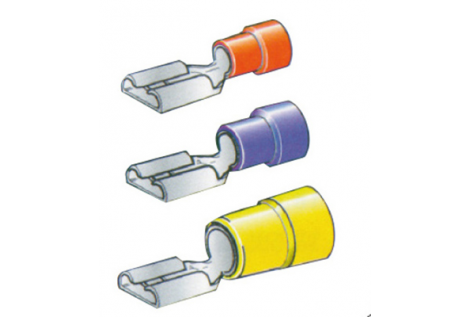 WEIBLICHES REED-TERMINAL